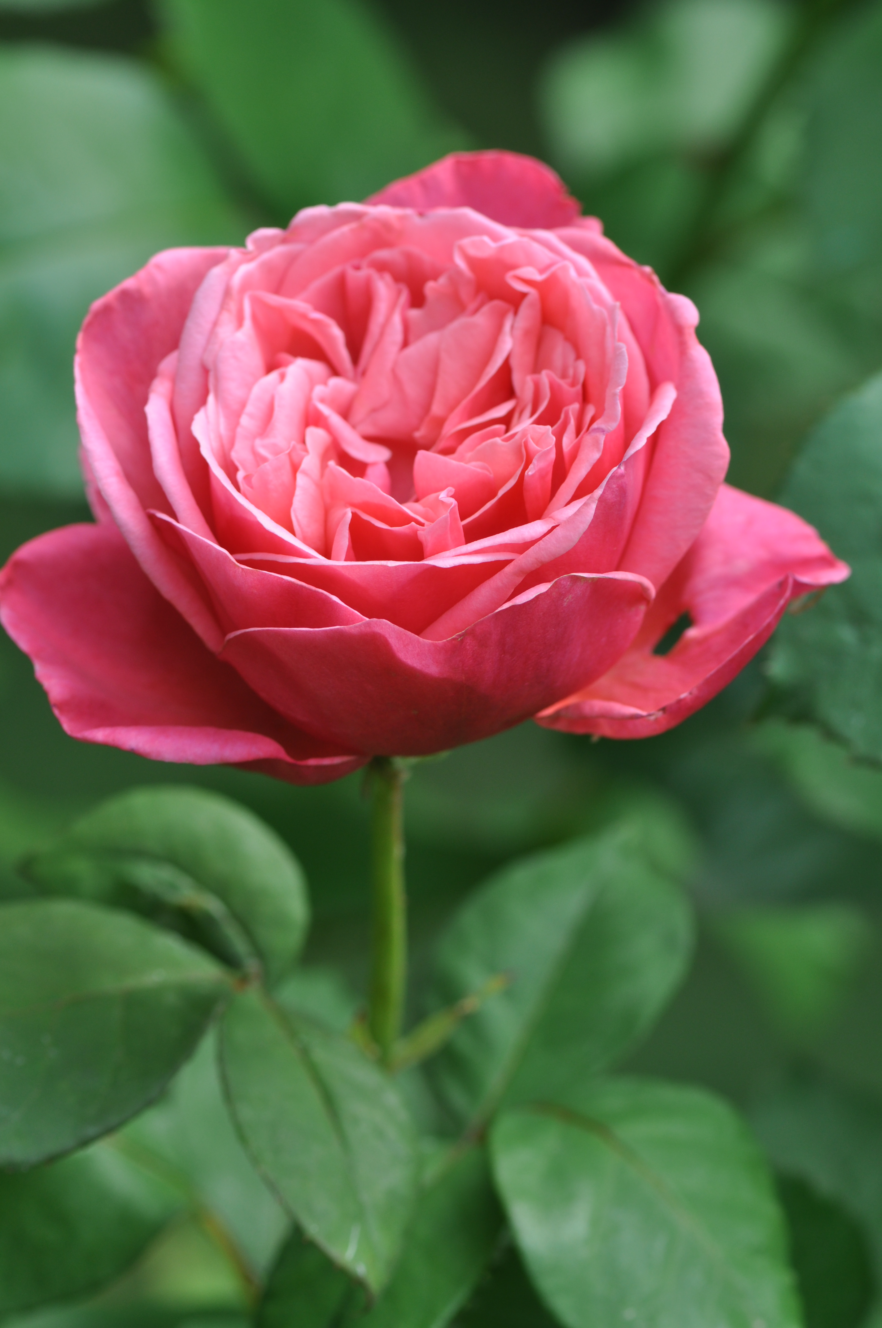 douceur et compréhension