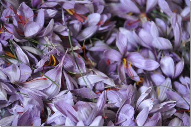 identifier ses freins